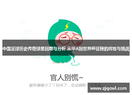 中国足球历史传奇球星回顾与分析 从甲A到世界杯征程的辉煌与挑战